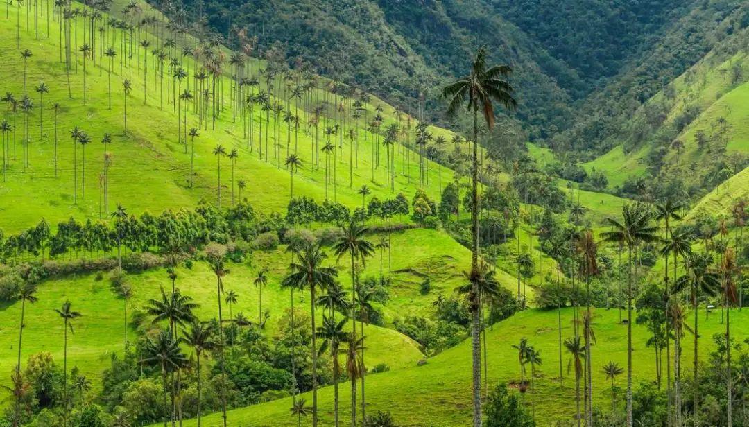 爱游戏体育官网-哥伦比亚选手一箭斩获胜利，笑傲赛场的简单介绍