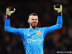 爱游戏官网入口-关于英格兰迎战波兰，强强对话引人期待的信息