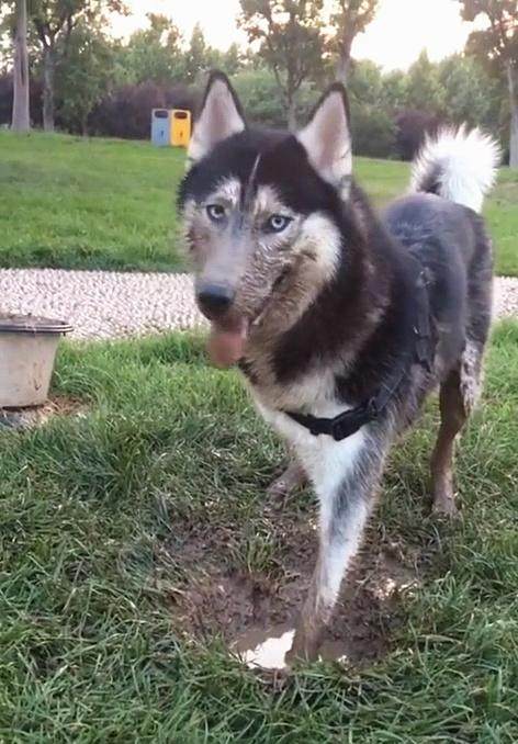 爱游戏官网网页版入口-柏林赫塔主场失分，沉迷降级泥潭难自拔的简单介绍