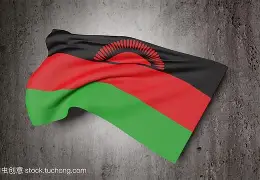 扎伊尔迎战马拉维，培训团队默契