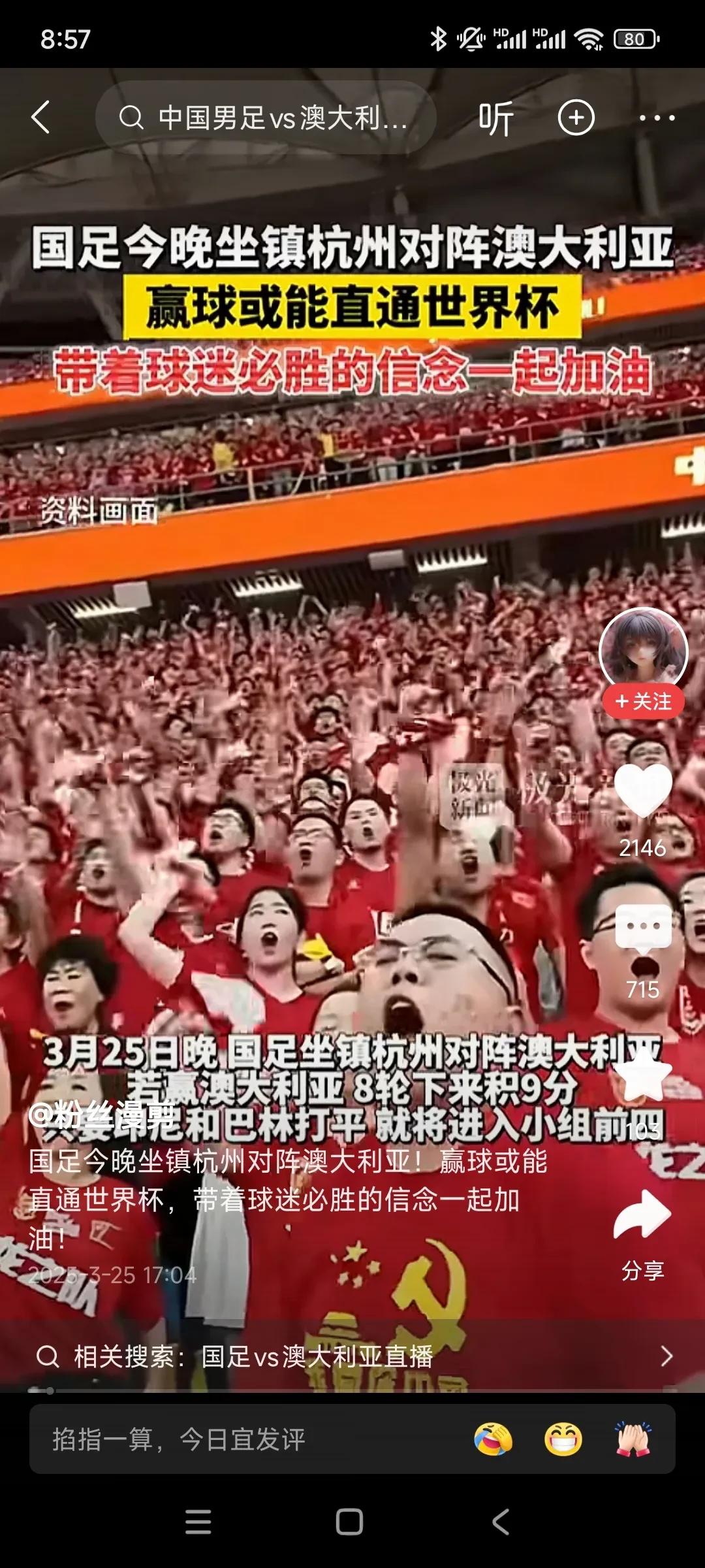 西悉尼流浪者球迷现场助威，激发球队夺冠斗志的简单介绍